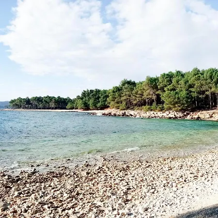 Knezevic